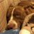 Kelly Searles's profile image