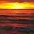 Rex Christopher Bowen's profile image
