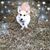 Carol Summerville's profile image