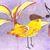 Sharon Neth's profile image
