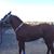 Juan Carlos Martinez Gonzalez's profile image