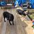 Linda Kerns's profile image