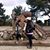 Jamie Hartke Davison's profile image