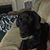 Tricia Hammer Vermillion's profile image