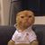 Seratt Erden's profile image