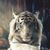Bill W Bloodworth's profile image