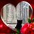 Sheila Willard Webb's profile image