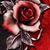 Rosemary DeLacey's profile image
