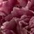 Barbara Ann Lisky O'Leary's profile image