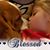 Terri Ossler's profile image