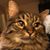 Wendy Hofmeister's profile image