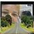 Maria Scroggins's profile image