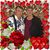 Patricia Reeves Schmidt's profile image