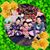 Judith Riedmiller's profile image
