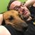 Chris Colella's profile image