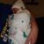 Elliott C. Torpey's profile image