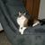 Kristine Fletcher's profile image