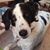 Deb Brookhyser's profile image