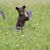 Tammy Doyle-Wilson's profile image