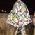 Dale Whitehurst's profile image