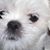 Patty Gessell's profile image