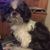 Barbara Everhart Loggins's profile image