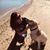 Alli Jennings Loring's profile image