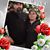 Crystal Eyer's profile image