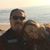 Cindy Rausch Grozier's profile image