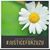Terri Pardue Jennings's profile image