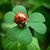 Martha P Mejia's profile image