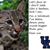 Vicki Looney's profile image