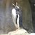 Kimberly Arslan's profile image
