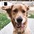 Tracy Tinsley's profile image