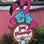 Kim Arehart Knapp's profile image