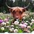 Nancy Magana's profile image