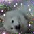 Bev Caruso's profile image