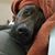 Angie Grove Pense's profile image