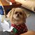 Kimberly Bauch's profile image