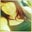 Cathleen Cotter's profile image