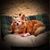 Tammy Carper's profile image