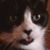 Christine Barnett-Mizerak's profile image