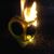 Tasha Rothrock Coulter's profile image