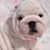 Martha Jane's profile image