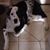 Michael Tod Oliver's profile image