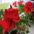 Helen Waite Morisette's profile image