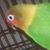 Donna Wilson's profile image