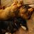 Joanne Hayman's profile image