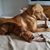 Brenda Clunie Gulley's profile image
