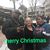 Ellen Lambe Boston's profile image